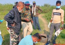 बाघ के शावक की मृत्यु