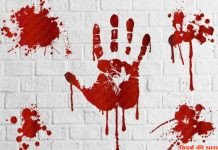 बल्लारपुर में युवती की हत्या
