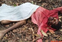 बाघ के हमले में लकडी लाने गए व्यक्ती की मौत