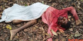बाघ के हमले में लकडी लाने गए व्यक्ती की मौत