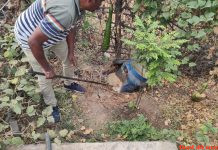 अपराध शाखा और विरूर पुलिस की हाथभट्टी शराब पर कारवाई