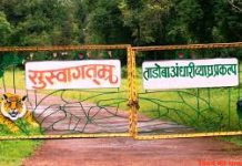 ताडोबा ऑनलाईन टीकीट घोटाले में 2 आरोपी गिरफ्तार