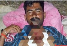 बाघ का मेंढीपालक पर हमला