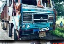 सडक दुर्घटना में 30 मवेशीयों की मौत