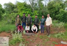 वन्य जीव का शिकार करने वाली टोली गिरफ्तार