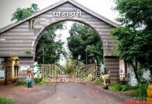 तालाब में डुबकर 5 युवकों की मौत