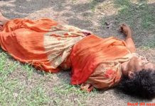 बाघ के हमले में 45 वर्षीय महिला की मौत