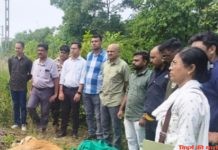 ट्रेन की टक्कर में बिट्टु बाघ की मौत