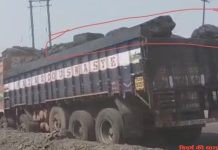 जीएम के आर्डर पर पवनी 2 में लंपी कोल का उपहार