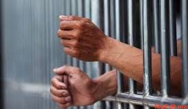 खुनी पती को 7 वर्ष सशक्त कारावास की सजा