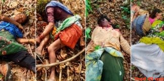 बाघ का शिकार बनी तेंदुपत्ता तोडने गयी चार महिला